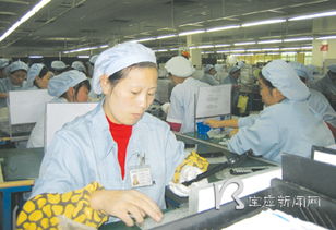 江苏骏升科技（宝应）有限公司概况与信息咨询服务参考